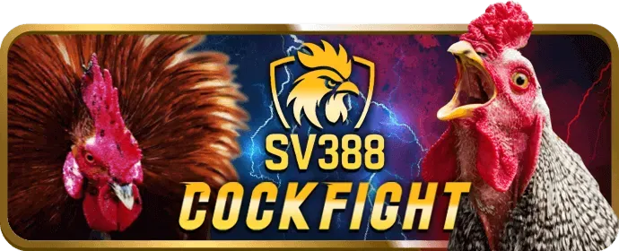 Hỗ trợ khách hàng 24/7 w33win nổ hũ
